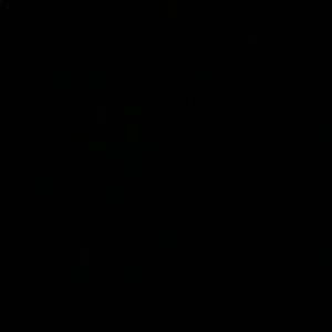 Meet your Posher, Cecilia